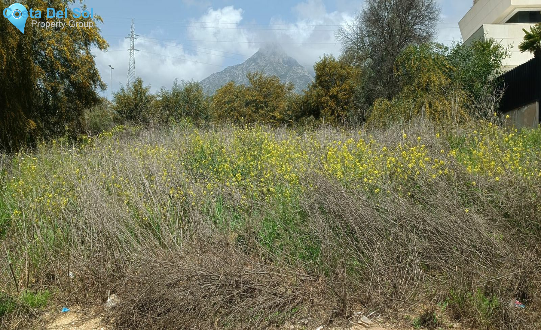 Residential Plot in The Golden Mile-1554080