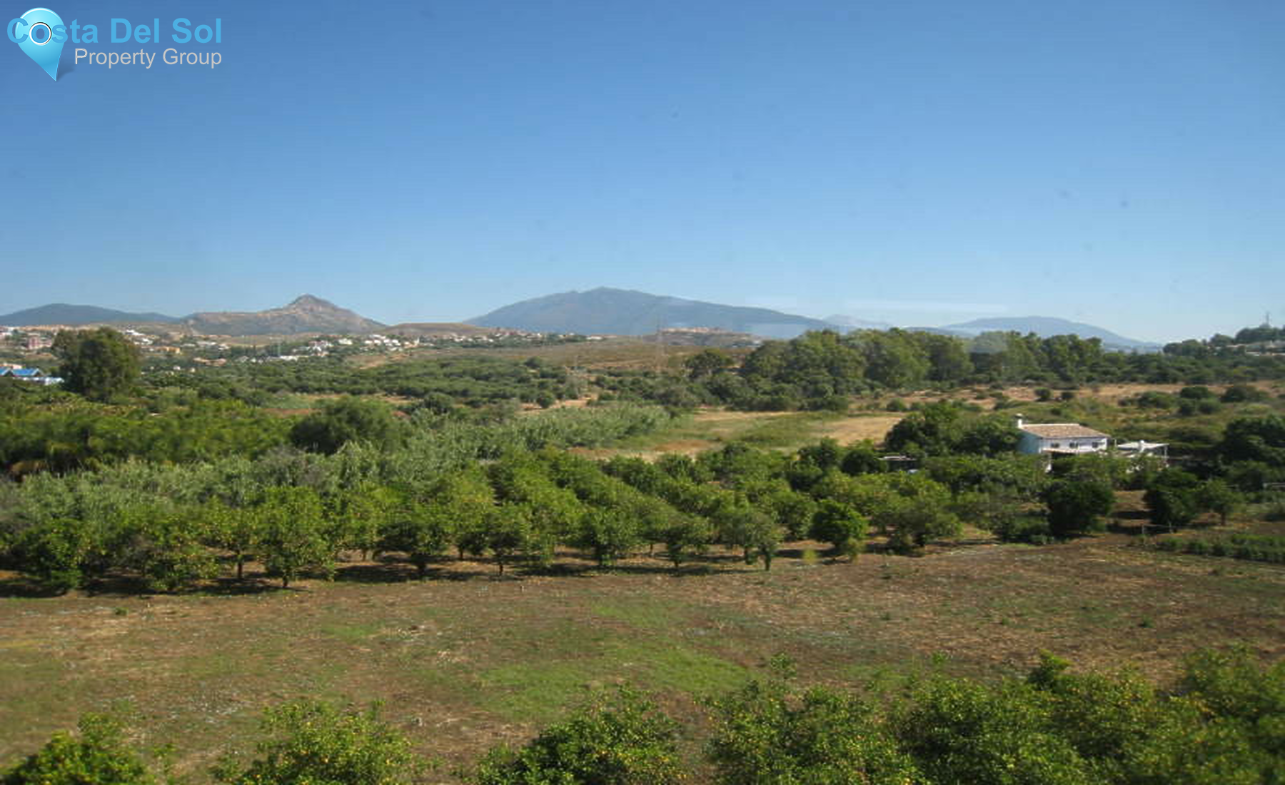 Restaurant in Estepona-1463517