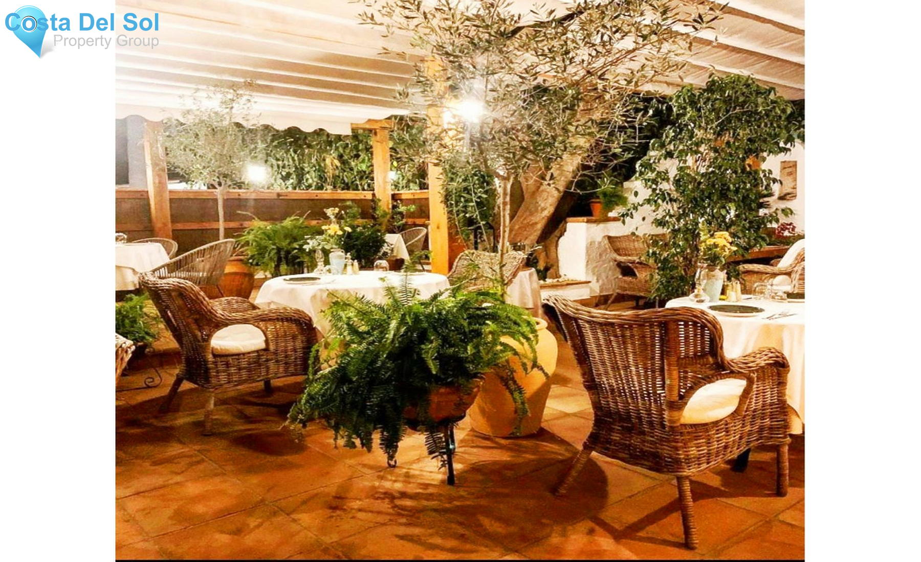 Restaurant in Nueva Andalucía-1342654