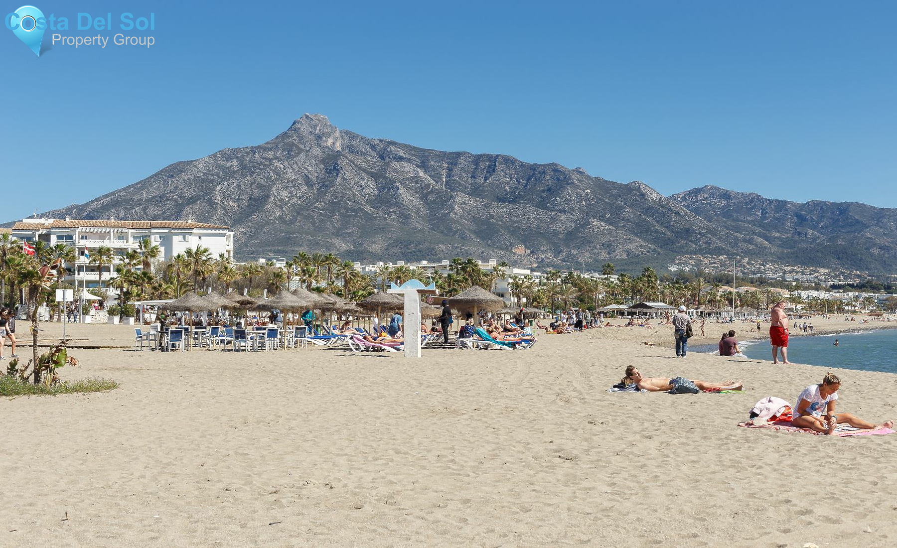 Restaurant in Puerto Banús-1227892