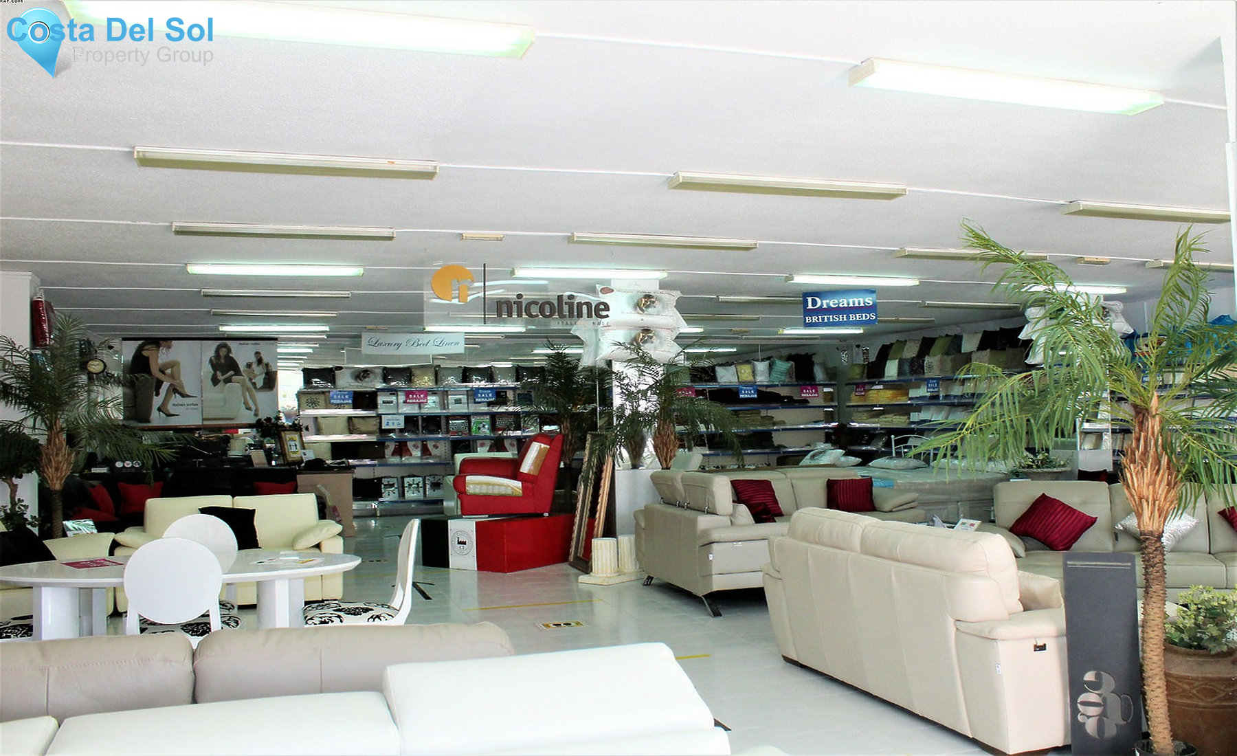 Shop in Calypso-1359623