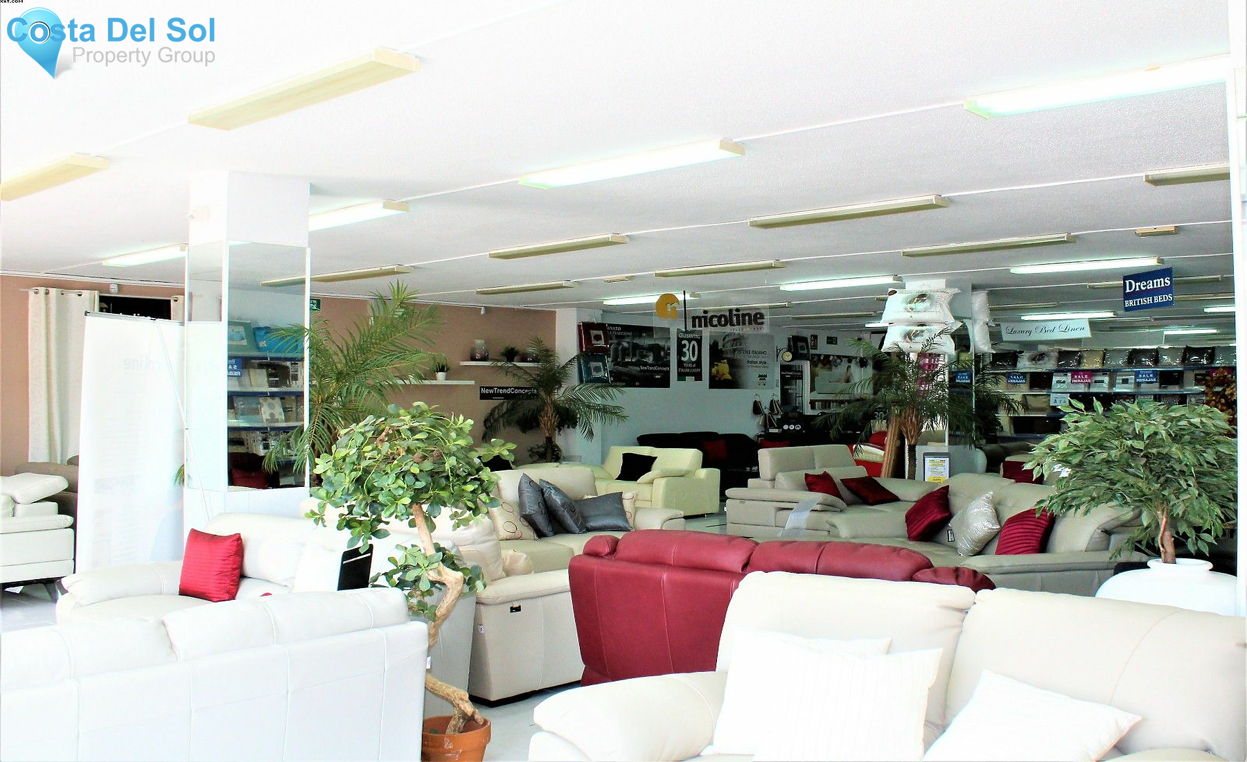 Shop in Calypso-1400929