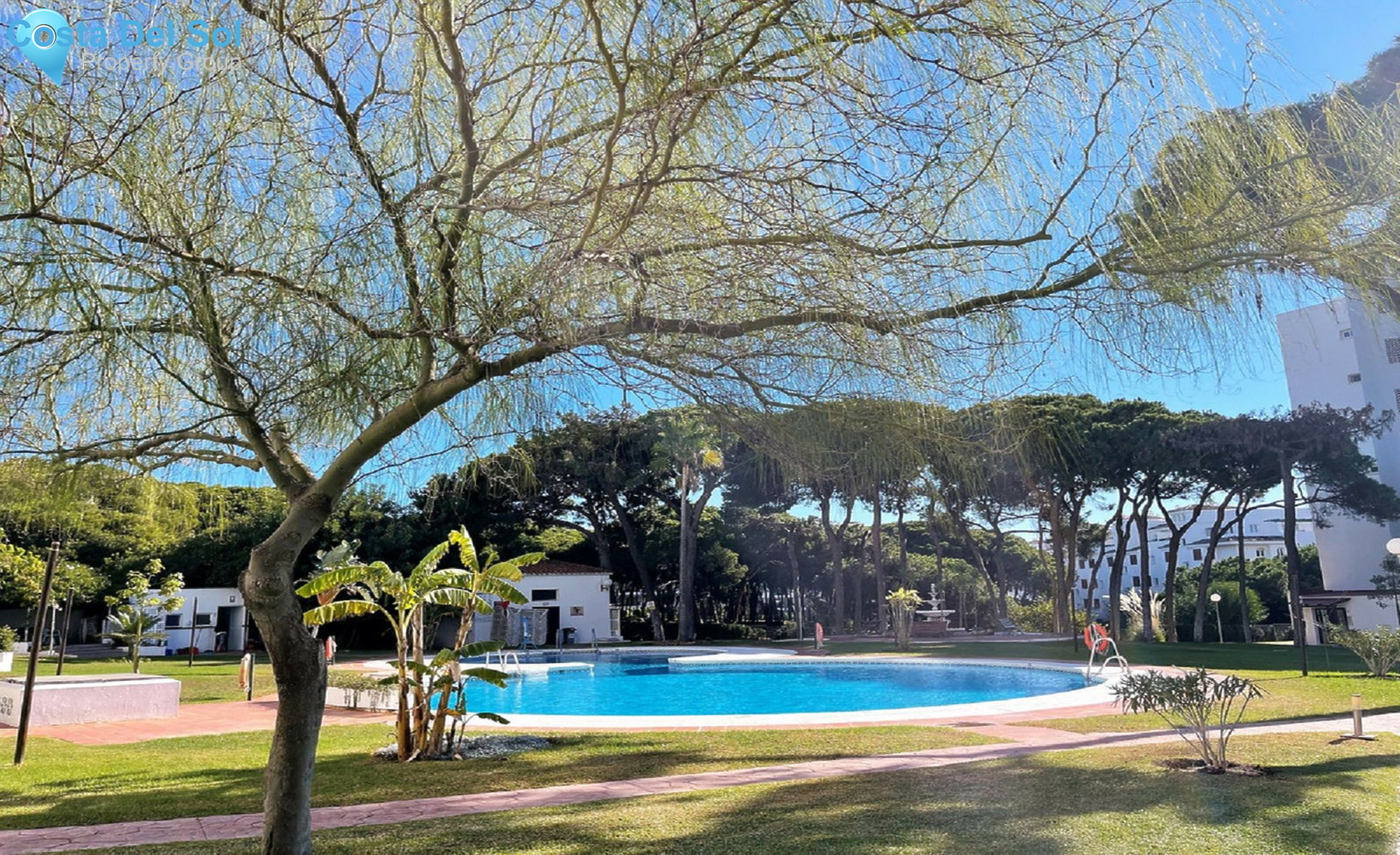 Top Floor Studio in Calahonda-1243518